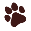 paw